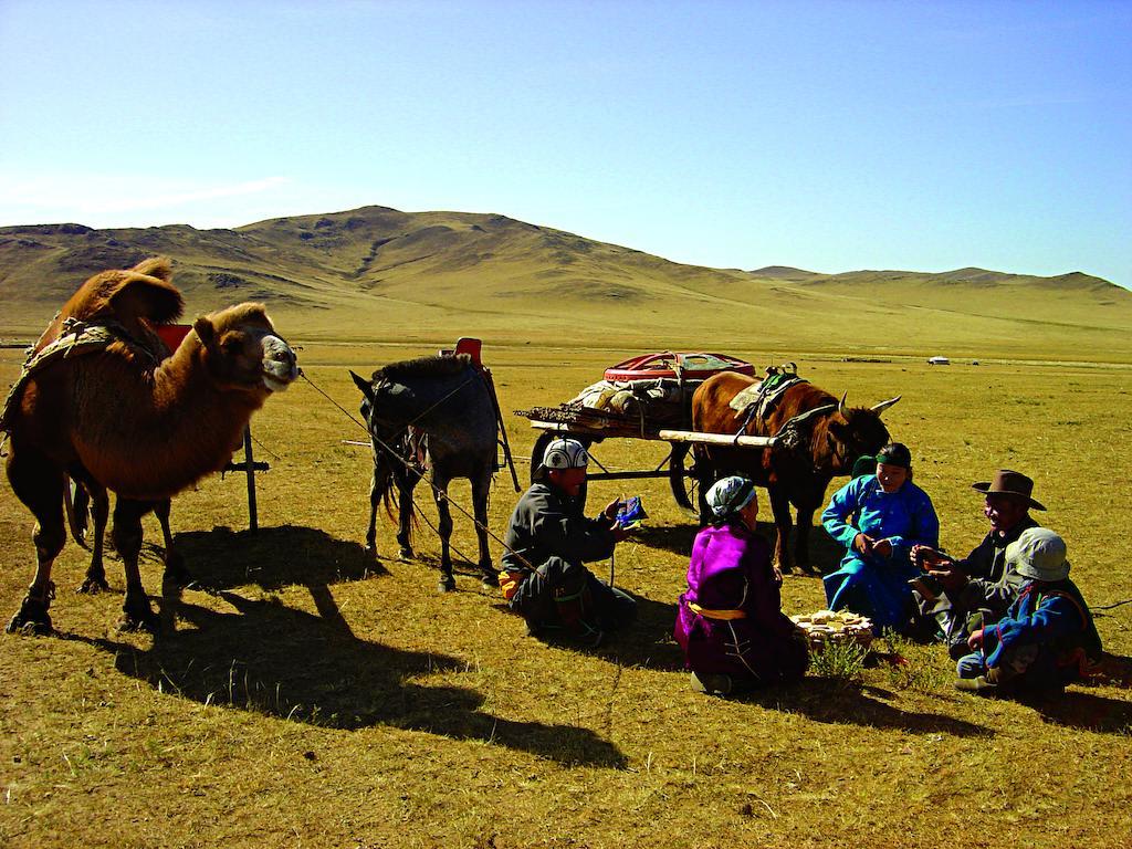 Steppe Nomads Eco Resort At Gungaluut أولان باتور المظهر الخارجي الصورة